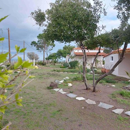 Vintage Beach House Αγία Άννα Εξωτερικό φωτογραφία